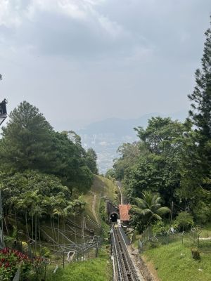 IMG_5302.JPG